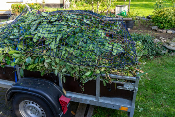 Best Recycling Services for Junk  in New Hope, AL